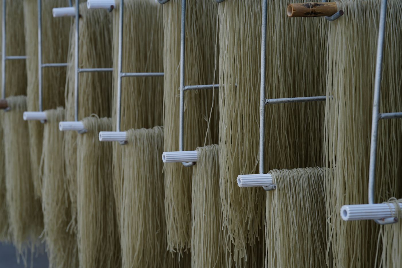 粉条晾晒全景